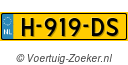 H919DS