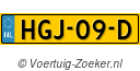 HGJ09D