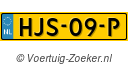 HJS-09-P