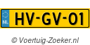 HVGV01
