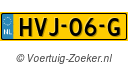 HVJ06G