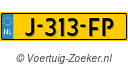 J313FP