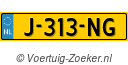 J313NG