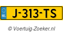 J313TS