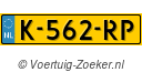K562RP