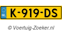 K919DS