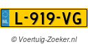 L-919-VG