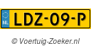 LDZ09P