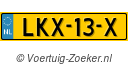 LKX13X