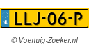 LLJ-06-P