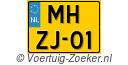MH-ZJ-01