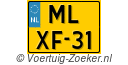 MLXF31