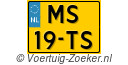 MS19TS