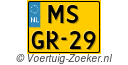 MSGR29