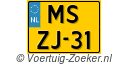 MS-ZJ-31