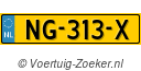 NG313X