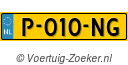 P010NG
