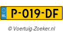 P019DF