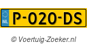 P020DS