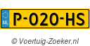P020HS