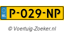 P029NP