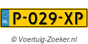 P029XP