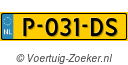 P031DS