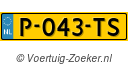 P043TS