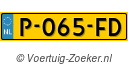 P065FD