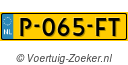 P065FT