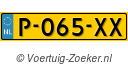 P065XX