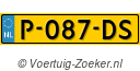 P087DS