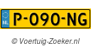 P090NG