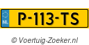 P113TS