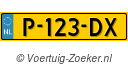 P123DX
