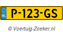 P123GS