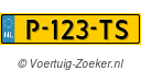 P123TS