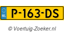 P163DS