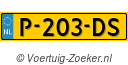 P203DS