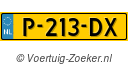 P213DX