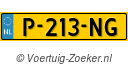 P213NG