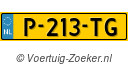 P213TG