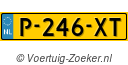 P246XT