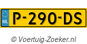 P290DS