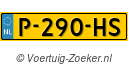 P290HS