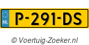 P291DS