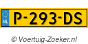 P293DS