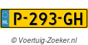 P293GH