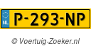 P293NP
