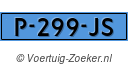 P299JS